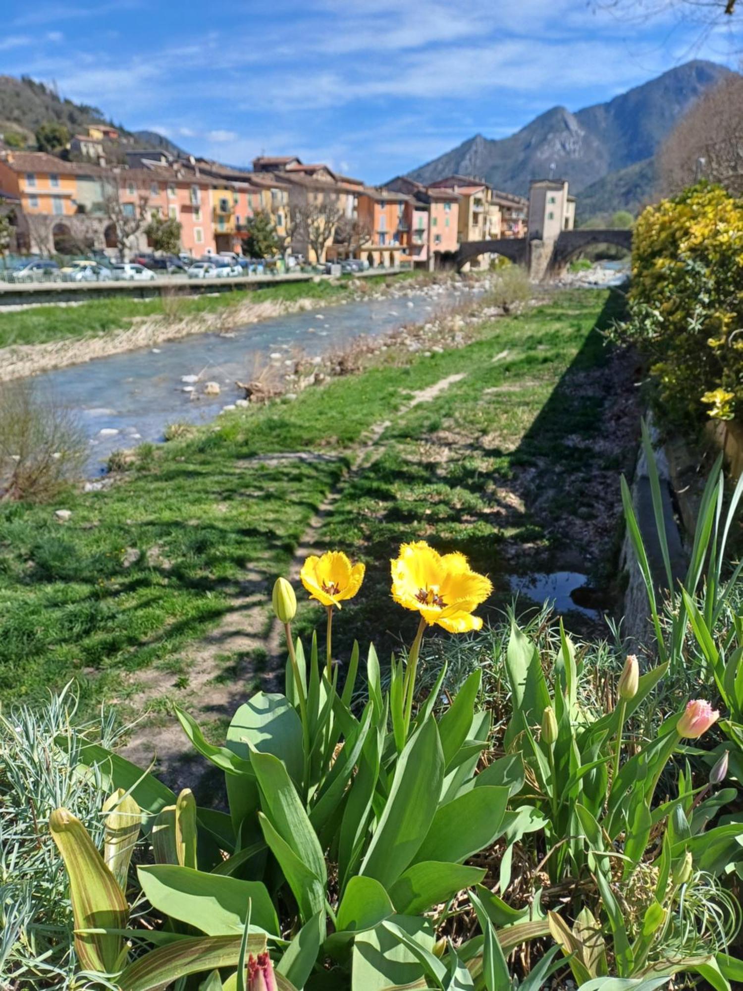 Apartment Riverside *